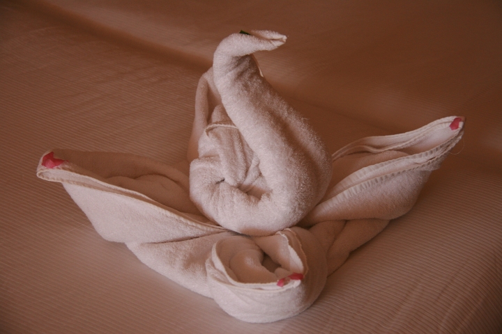 Vakantie Egypte 2010-220.jpg